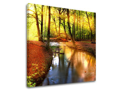 Slikanje sten DREVES ST032E12