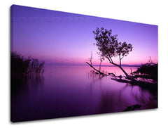 Stenska slika WEST WEST SLNKA ZS006E11