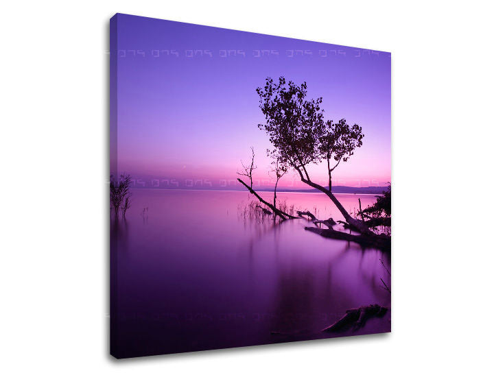 Stenska slika WEST WEST SLNKA ZS006E12