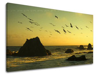 Slikanje sten WEST WEST SLNKA ZS008E11