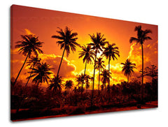 Stenska slika WEST WEST SLNKA ZS019E11