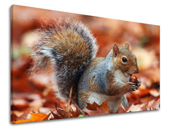 Stenska poslikava ŽIVALI ZV002E11