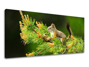 Stenska slika PANORAMA ŽIVALI ZV013E13