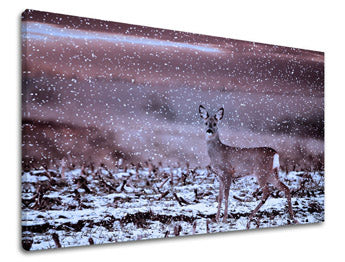 Stenska poslikava ŽIVALI ZV015E11