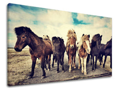 Stenska poslikava ŽIVALI ZV016E11