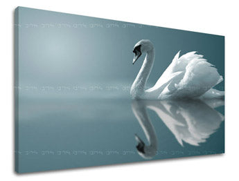 Stenska poslikava ŽIVALI ZV024E11