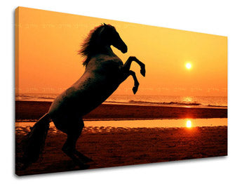 Stenska poslikava ŽIVALI ZV026E11