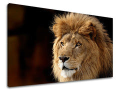 Stenska poslikava ŽIVALI ZV028E11