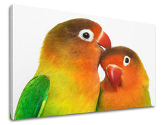 Stenska poslikava ŽIVALI ZV030E11