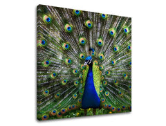 Stenska poslikava ŽIVALI ZV032E12