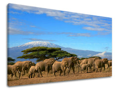 Stenska poslikava ŽIVALI ZV036E11