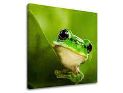 Stenska poslikava ŽIVALI ZV038E12