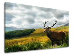 Stenska poslikava ŽIVALI ZV040E11