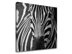 Stenska poslikava ŽIVALI ZV044E12