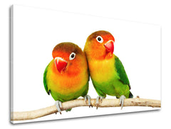 Stenska poslikava ŽIVALI ZV045E11