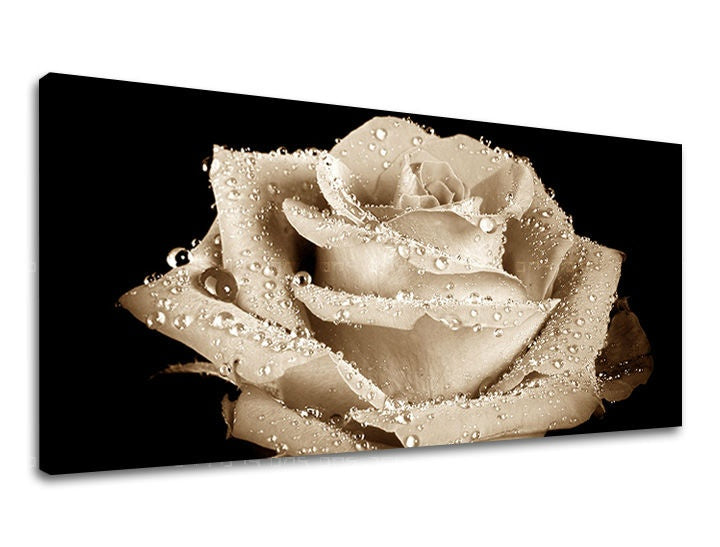 Slika na platnu z motivom sepia vrtnica z vodnimi kapljicami – 3D prikaz platna z vidnim lesenim okvirjem, Papilora.