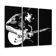 Ročno poslikano slikarstvo POP Art Santana 3 kosi san – 3D vizualizacija ročno poslikanega platna na belem ozadju. Prevladujoče barve: črna, bela, siva.