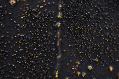 rucne-malovany-obraz-CWF1027EE1.jpg-2