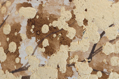 rucne-malovany-obraz-CWFTR047.jpg-1