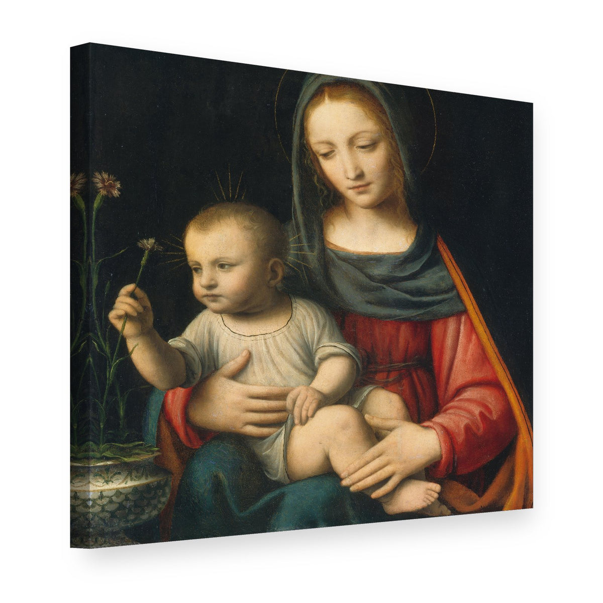 Slika na platnu Madona z nageljnom – Bernardino Luini, 3D pogled