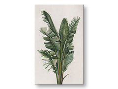 Slika na platnu PLANTS 007