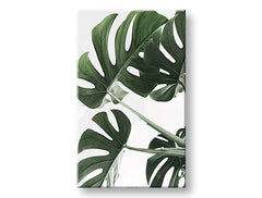 Slika na platnu PLANTS 009