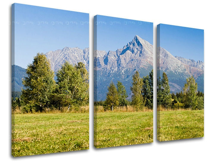 Slika na platnu z motivom gorska pokrajina z zelenimi travniki in drevesi – 3D prikaz platna z vidnim lesenim okvirjem, Papilora.