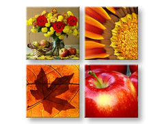 Slikanje sten COLLAGE 4 deli