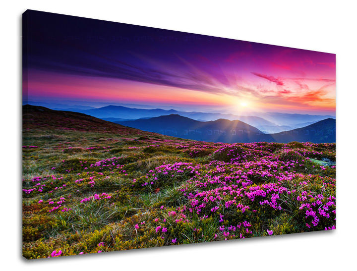 Slika na platnu z motivom sončni zahod nad gorami z rožnatimi cvetovi – 3D prikaz platna z vidnim lesenim okvirjem, Papilora.