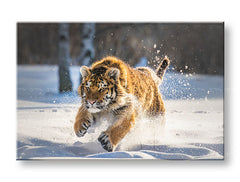 Slika na platnu z motivom tiger teče po snegu obešena v sodobnem stilskem interjerju nad leseno konzolo z vazo in svečo, Papilora.