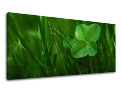 Stenska poslikava PANORAMA PLANTS