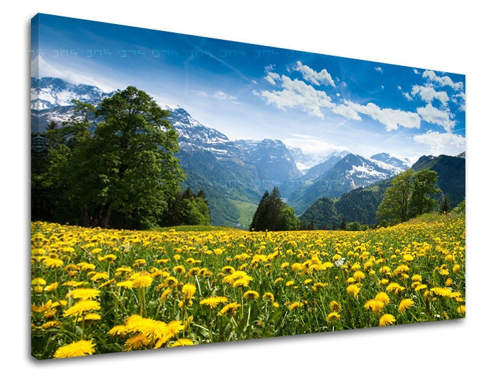 Stenska poslikava POKRAJINA