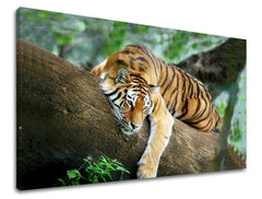 Slika na platnu z motivom tiger počiva na drevesnem deblu – 3D prikaz platna z vidnim lesenim okvirjem, Papilora.