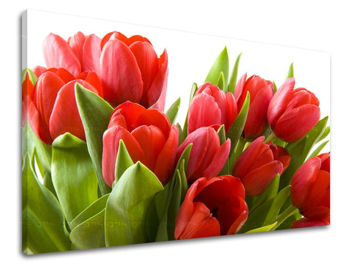 Stenska slika Cvetje TULIPANOV