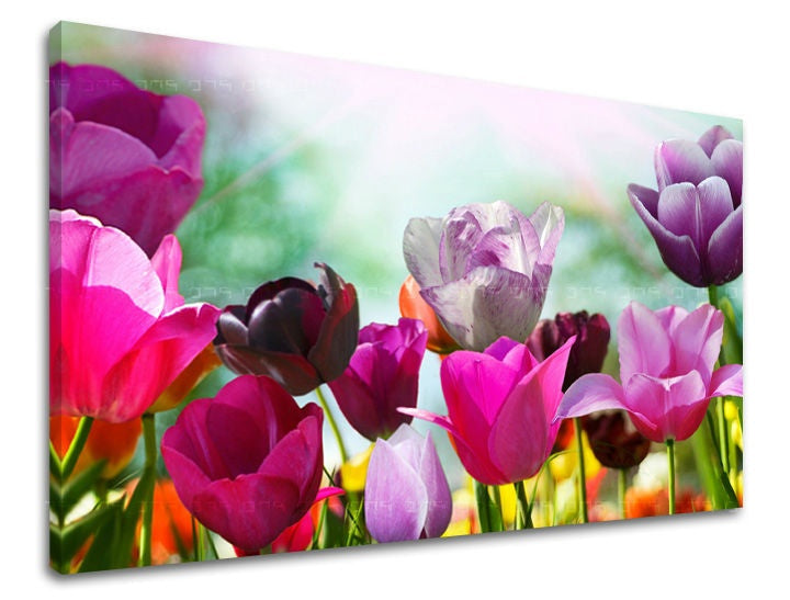 Slika na platnu z motivom pisani tulipani v sončni svetlobi – 3D prikaz platna z vidnim lesenim okvirjem, Papilora.