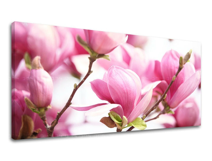Slika na platnu z motivom rožnate magnolije na veji – 3D prikaz platna z vidnim lesenim okvirjem, Papilora.