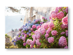 Stenska slika PINK ROŽE_157-11