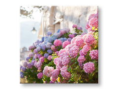 Stenska slika PINK ROŽE_157-12