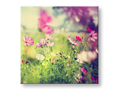 Stenska slika PINK ROŽE_165-12