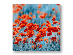 Stenska slika RED ROŽE_159-12