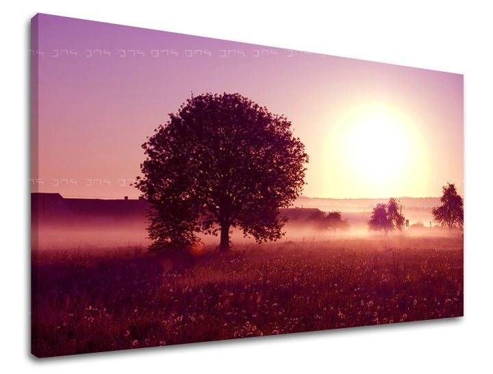 Slika na platnu z motivom megleno jutro z drevesom in soncem – 3D prikaz platna z vidnim lesenim okvirjem, Papilora.