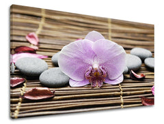 Stenska umetnost FENG SHUI