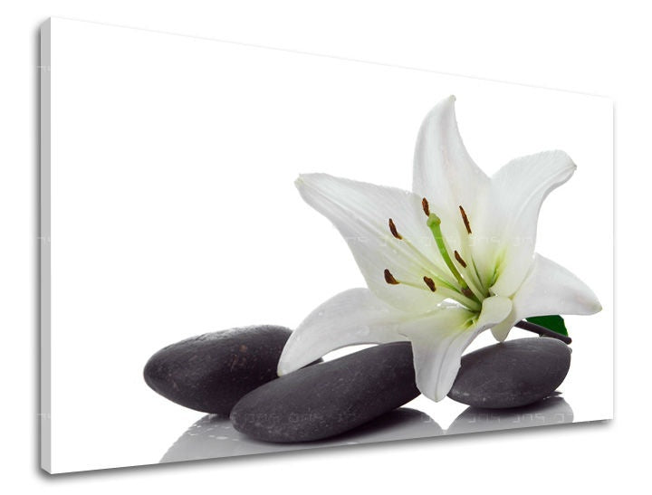 Stenska umetnost FENG SHUI