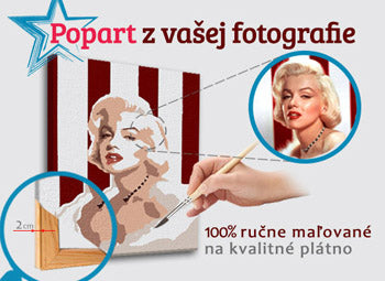 Poslikana POP Art podoba iz fotografije - ŠTVOREC FOTO-POPS | različne velikosti