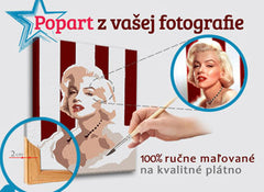 Poslikana POP Art podoba iz fotografije - ŠTVOREC FOTO-POPS | različne velikosti